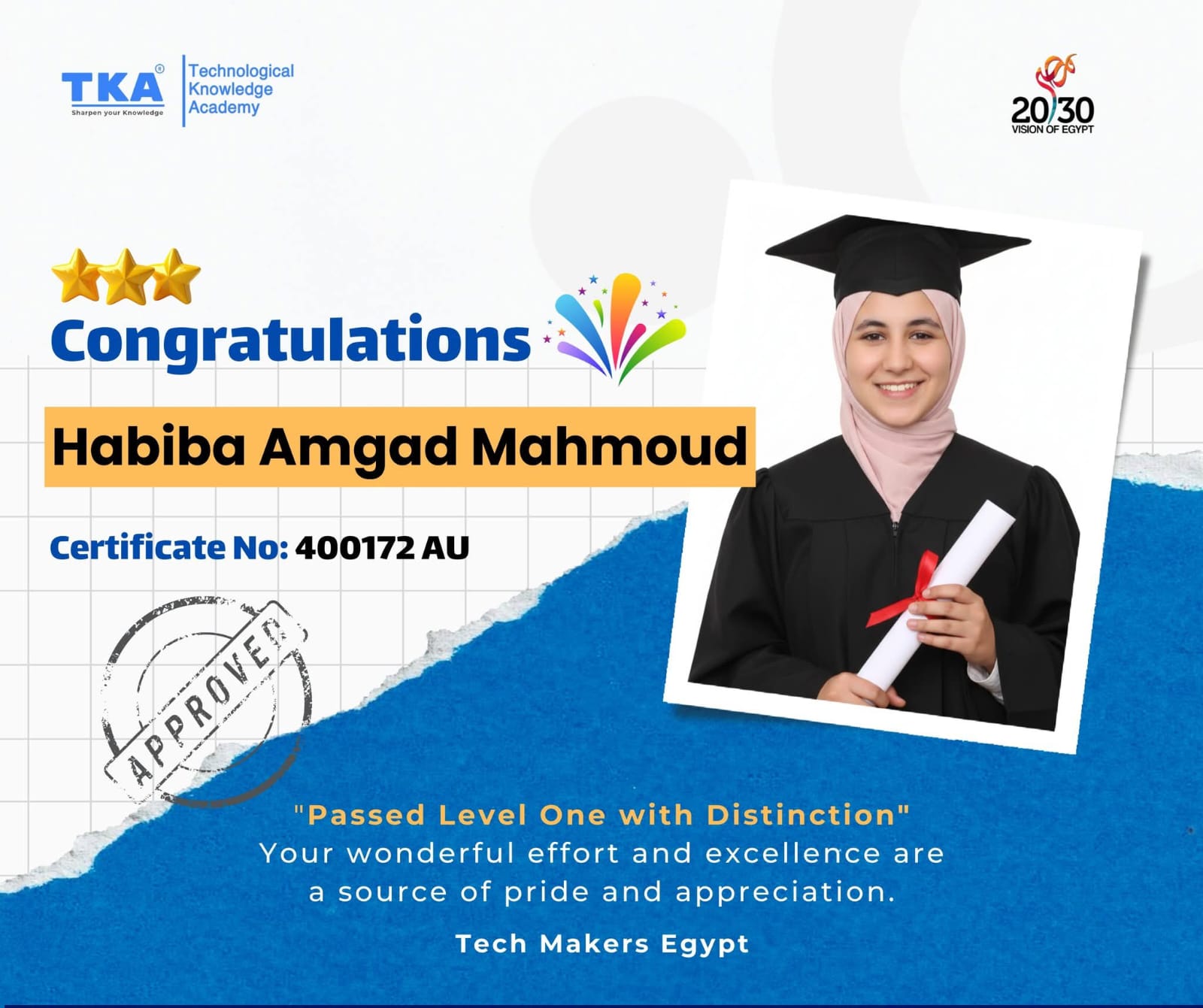 Ahmed Mohamed Fouad
